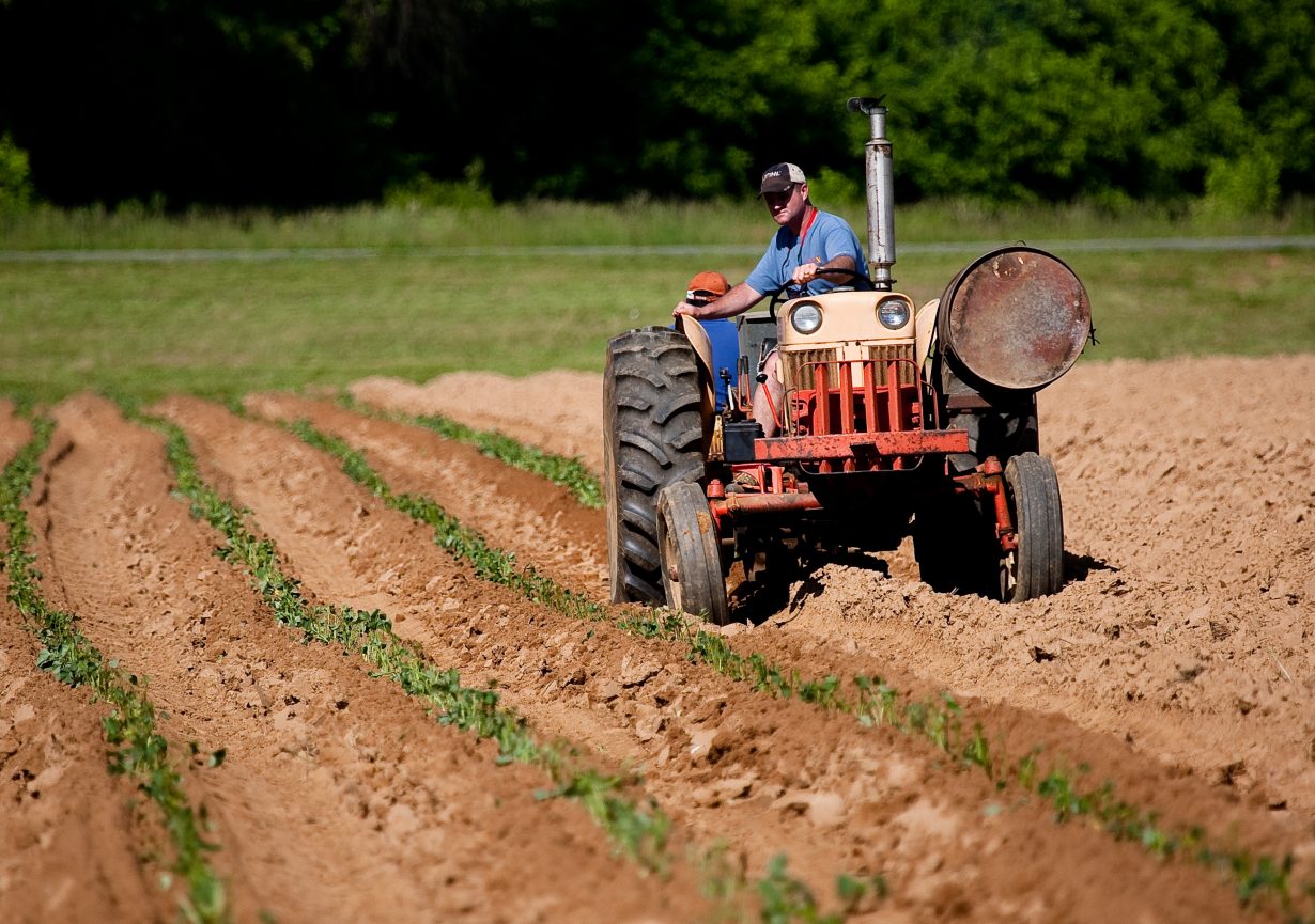 Comment devenir intérimaire en agriculture ?